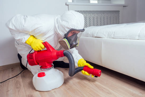 Best Pest Control Near Me in French Valley, CA