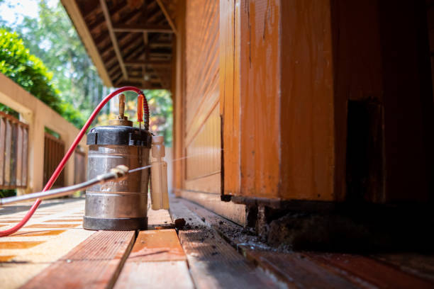 Best Pest Removal Services  in French Valley, CA
