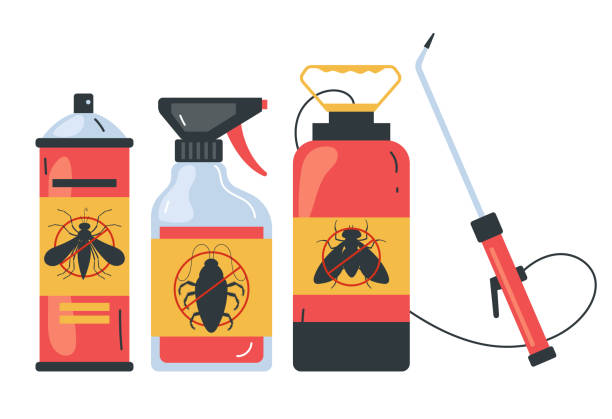 Best Affordable Pest Control Services  in French Valley, CA